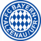 Bayern Alzenau