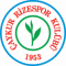 Logo Caykur Rizespor