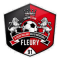 FC Fleury 91 Coeur d'Essonne