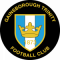 Logo Gainsborough Trinity