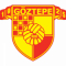 Logo Goztepe
