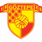 Logo Goztepe