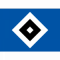 HSV