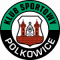 KS Górnik Polkowice