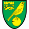 Logo Norwich