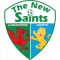 Logo The New Saints