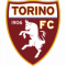 Logo Torino