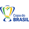 Logo Coupe du Brésil