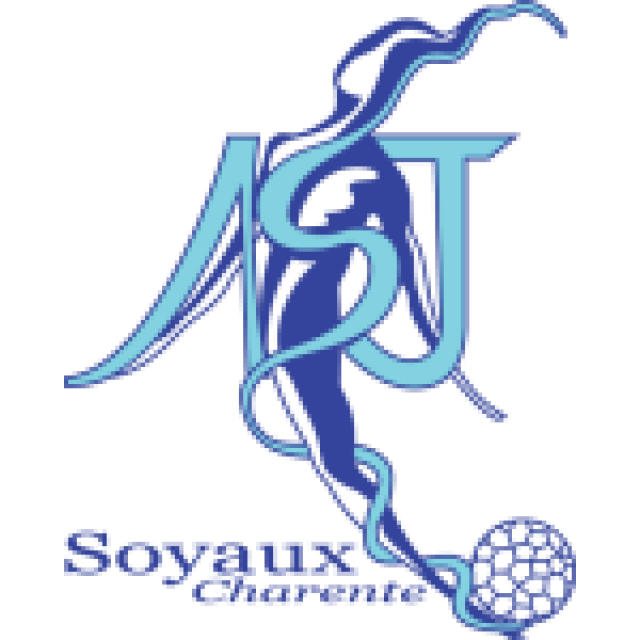 Match Soyaux ce Soir Diffusion, Horaire et Chaîne Programme Foot TV