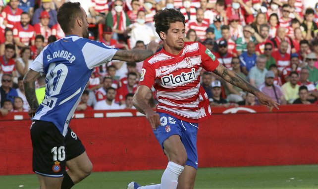 Alex Collado