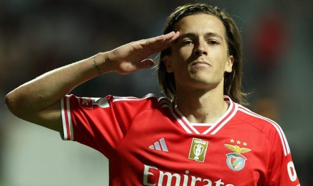 Álvaro Fernández sous les couleurs du SL Benfica.