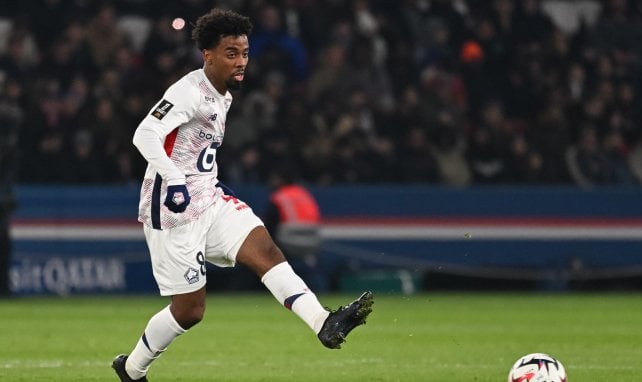 Angel Gomes, le milieu de terrain du LOSC
