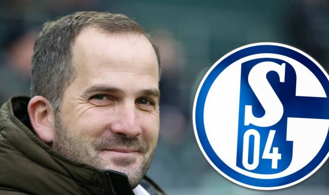 Manuel Baum nommé entraîneur de Schalke 04 - Allemagne - Schalke