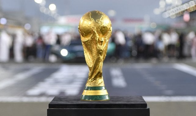 Le trophée de la Coupe du Monde présenté