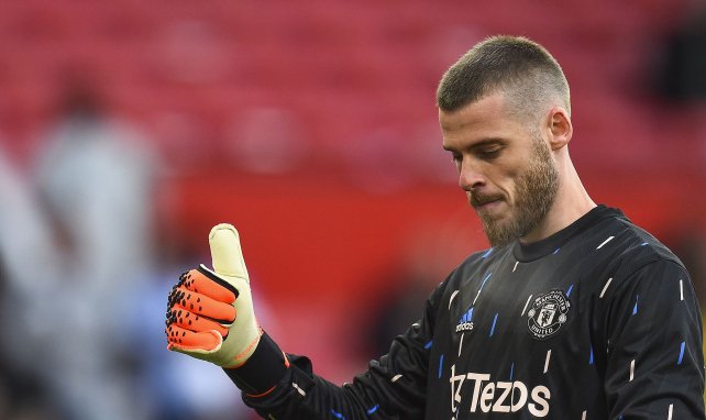 La Fiorentina officialise l’arrivée de David De Gea