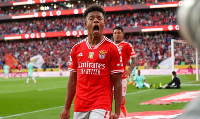 David Neres au SL Benfica