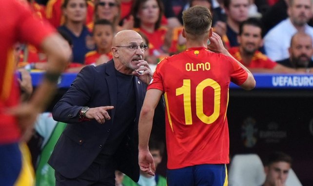 Luis de la Fuente discute avec Dani Olmo