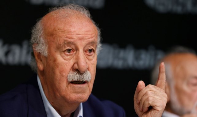 Del Bosque avec l'Espagne