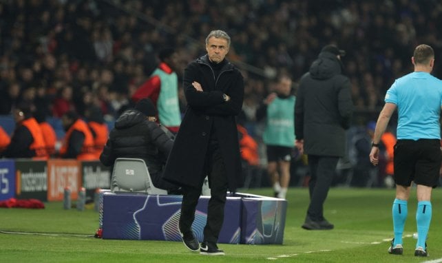 Luis Enrique avec le PSG