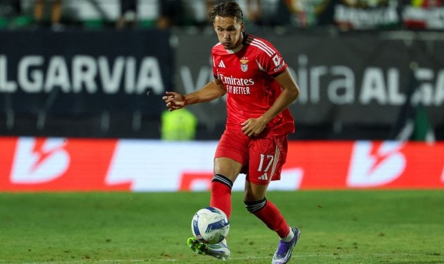 Amar Dedic