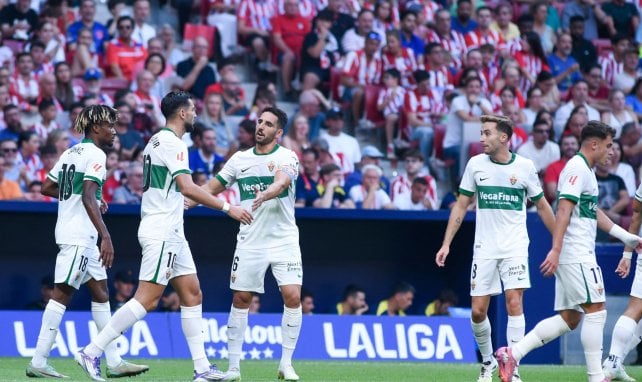 Elche
