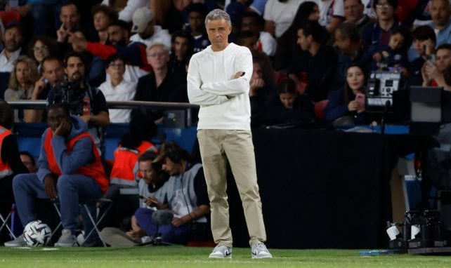 Luis Enrique avec le PSG