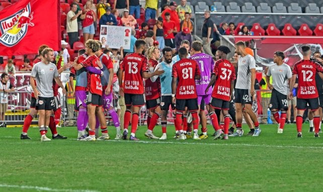 nyred bulls