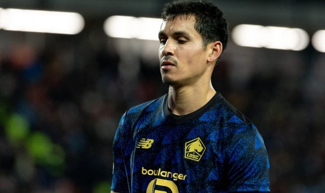 LOSC, Algérie : frayeur pour Aïssa Mandi avant la CAN