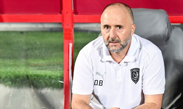 Le retour de Djamel Belmadi au Qatar tourne à la catastrophe
