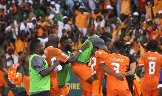 La Côte d'Ivoire après un but