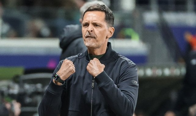 Lens, Dino Toppmöller : «on peut faire mal à toutes les équipes qui jouent la Ligue des Champions»