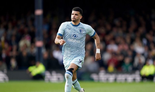 Dominik Solanke avec Bournemouth