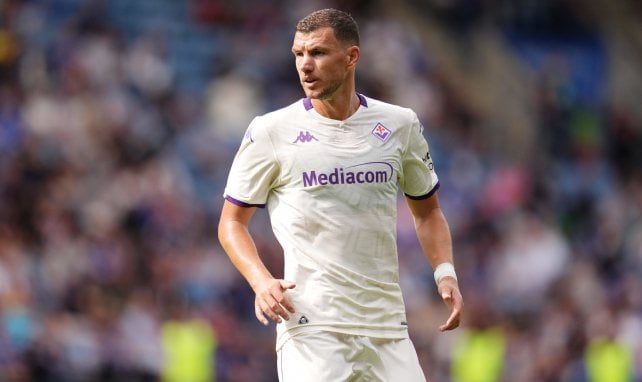 Edin Dzeko rebondit à Schalke 04