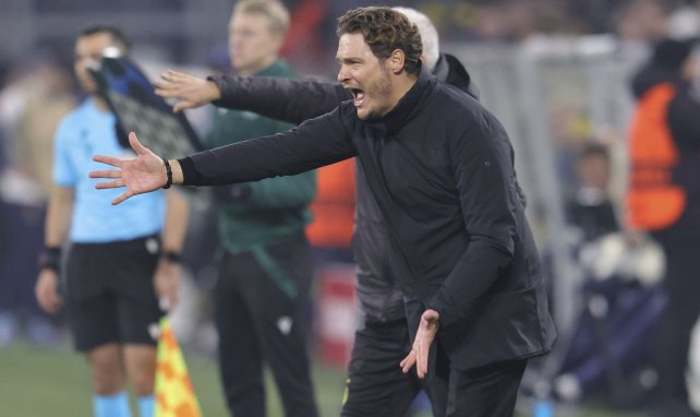 BL : le BvB n’avance toujours pas, match nul prolifique entre Hoffenheim et Darmstadt