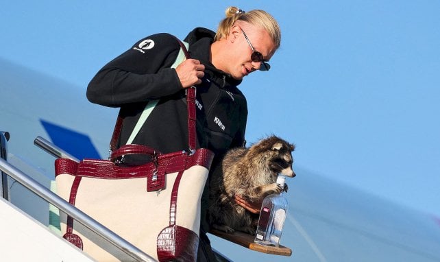 Erling Haaland rentre de la Coupe du Monde 2026 avec un raton laveur !