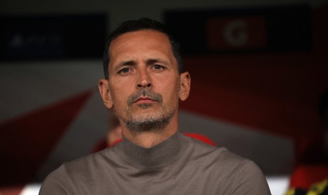 RC Lens : Daniel Riolo approuve l’éviction express de Dino Toppmöller
