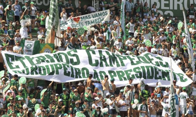 Neuf ans après la tragédie aérienne, Chapecoense va rebriller dans l’élite brésilienne