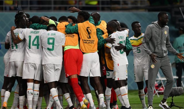 Coupe du Monde 2022 : le Sénégal dompte l'Équateur et file en 8es