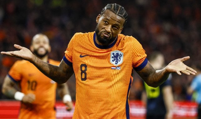 Georginio Wijnaldum veut faire son retour en Premier League