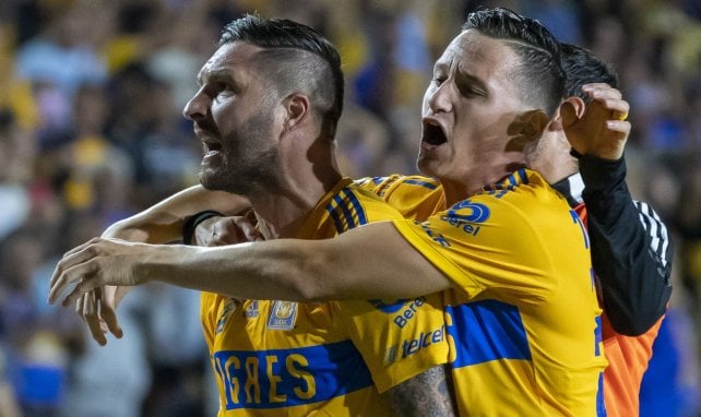 Tigres : Thauvin en veut à Gignac