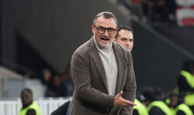Nice : Franck Haise s’est complètement lâché sur ses joueurs !