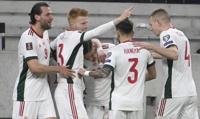 La Hongrie, adversaire de la France à l'Euro, bloque face à l'Irlande lors de son dernier match de préparation