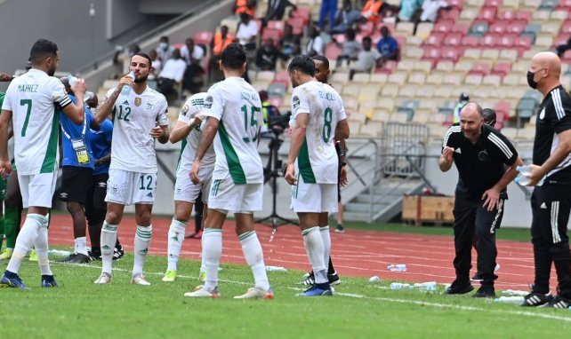 Coupe d'Afrique des Nations 2021 : l'Algérie tombe face à la Guinée équatoriale à la surprise générale