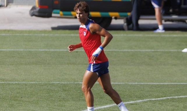 João Félix 