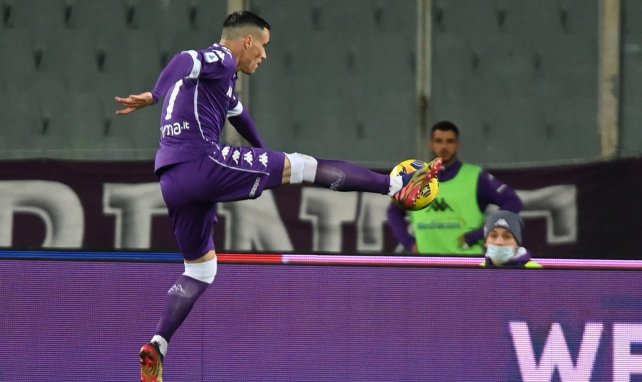 José Callejon sous le maillot de la Fiorentina