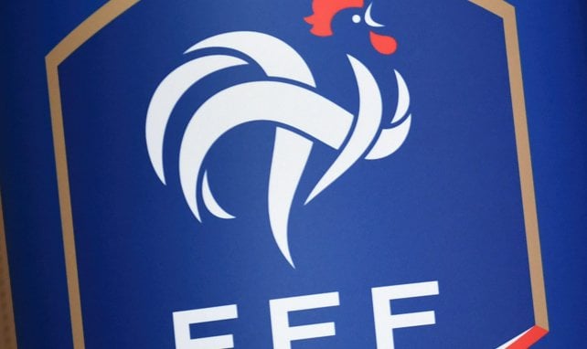 FFF : Philippe Diallo candidat au Comex de la l’UEFA