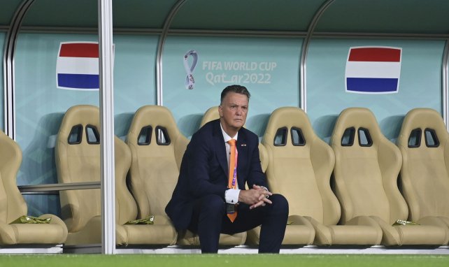 Coupe du Monde 2022, Pays-Bas : la dernière danse de Louis van Gaal 