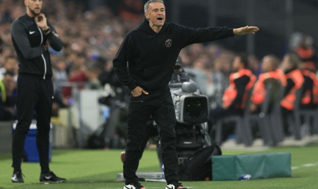 Luis Enrique sur le banc du PSG. 