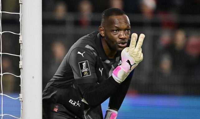 Steve Mandanda avec Rennes