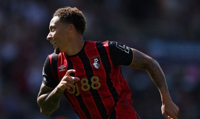 Marcus Tavernier